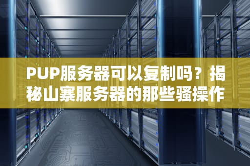 PUP服务器可以复制吗？揭秘山寨服务器的那些骚操作！