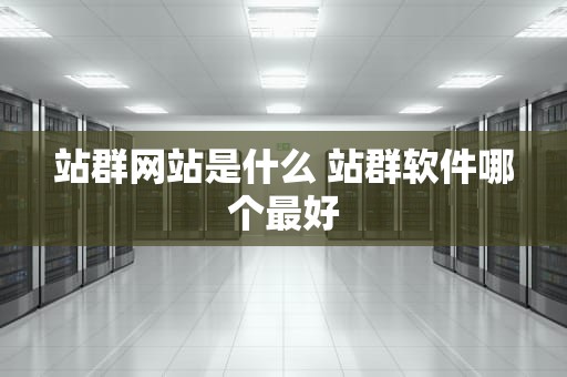 站群网站是什么 站群软件哪个最好