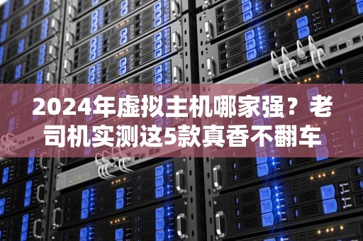 2024年虚拟主机哪家强？老司机实测这5款真香不翻车！