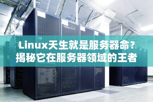 Linux天生就是服务器命？揭秘它在服务器领域的王者地位！