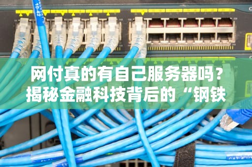 网付真的有自己服务器吗？揭秘金融科技背后的“钢铁心脏”