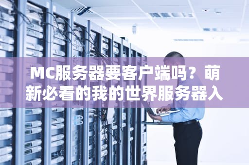 MC服务器要客户端吗？萌新必看的我的世界服务器入坑指南！