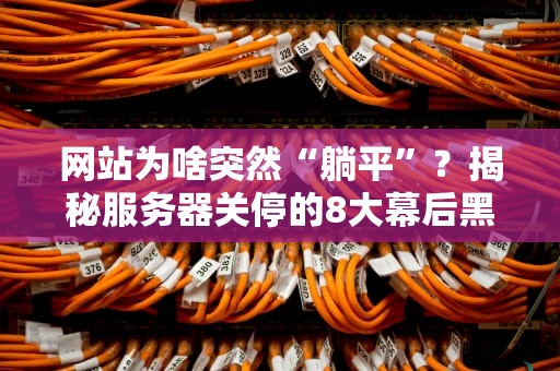 网站为啥突然“躺平”？揭秘服务器关停的8大幕后黑手！