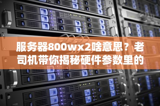 服务器800wx2啥意思？老司机带你揭秘硬件参数里的“黑话”！（附选购避坑指南）