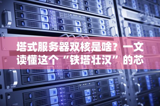 塔式服务器双核是啥？一文读懂这个“铁塔壮汉”的芯秘密！