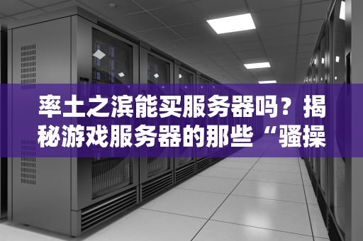 率土之滨能买服务器吗？揭秘游戏服务器的那些“骚操作”