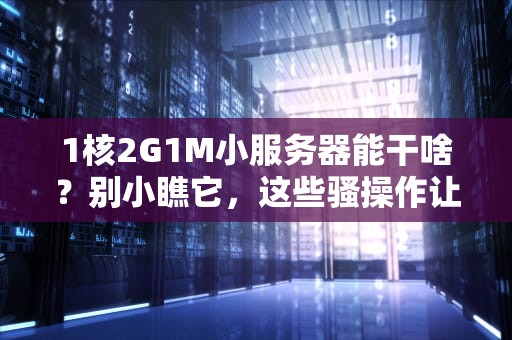 1核2G1M小服务器能干啥？别小瞧它，这些骚操作让你直呼真香！