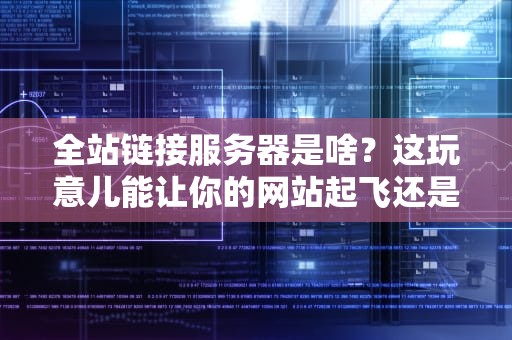 全站链接服务器是啥？这玩意儿能让你的网站起飞还是翻车？