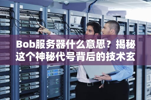 Bob服务器什么意思？揭秘这个神秘代号背后的技术玄机！