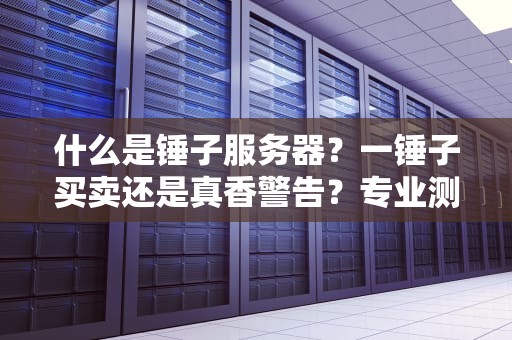 什么是锤子服务器？一锤子买卖还是真香警告？专业测评博主带你避坑！