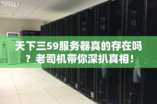 天下三59服务器真的存在吗？老司机带你深扒真相！