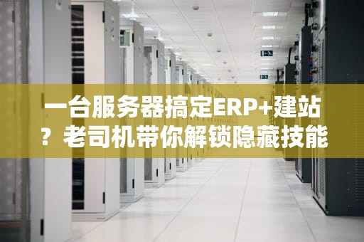一台服务器搞定ERP+建站？老司机带你解锁隐藏技能！