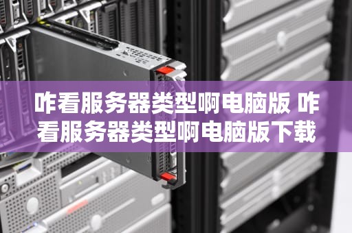 咋看服务器类型啊电脑版 咋看服务器类型啊电脑版下载