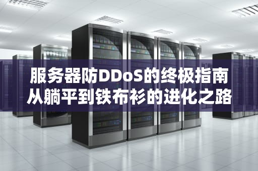 服务器防DDoS的终极指南从躺平到铁布衫的进化之路