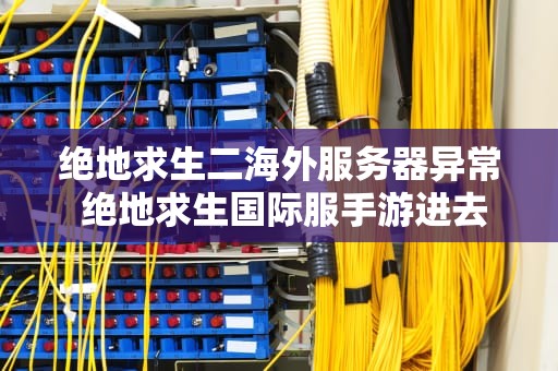 绝地求生二海外服务器异常 绝地求生国际服手游进去就提示服务器繁忙
