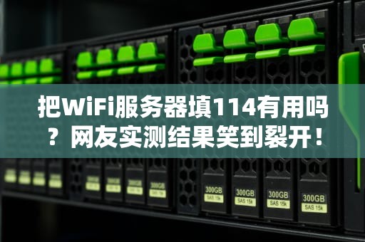 把WiFi服务器填114有用吗？网友实测结果笑到裂开！