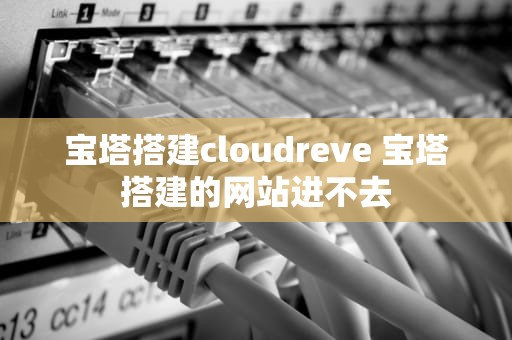 宝塔搭建cloudreve 宝塔搭建的网站进不去