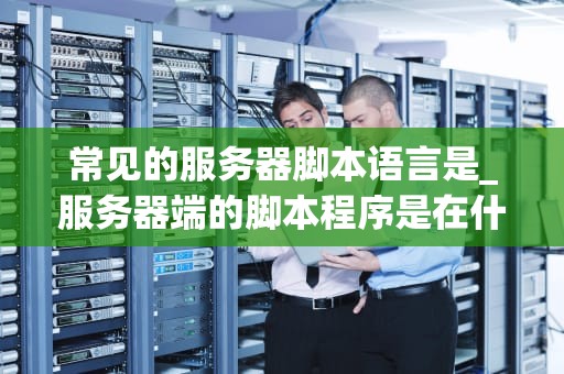 常见的服务器脚本语言是_服务器端的脚本程序是在什么上执行_服务器脚本语言的探索与应用
