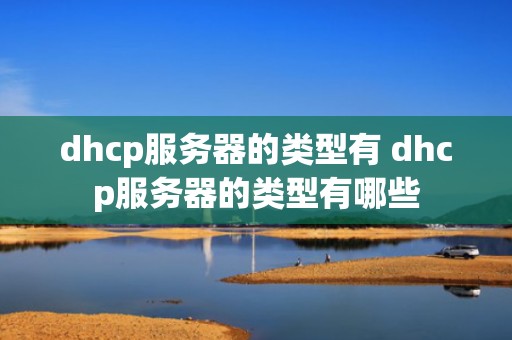 dhcp服务器的类型有 dhcp服务器的类型有哪些