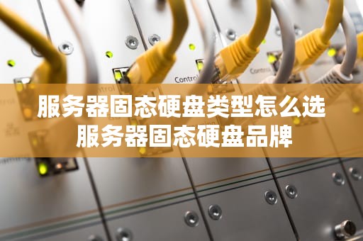 服务器固态硬盘类型怎么选 服务器固态硬盘品牌