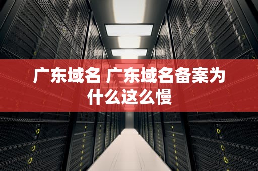 广东域名 广东域名备案为什么这么慢