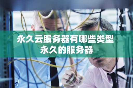 永久云服务器有哪些类型 永久的服务器