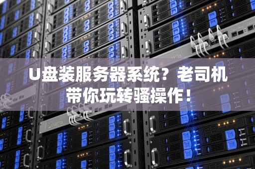 U盘装服务器系统？老司机带你玩转骚操作！