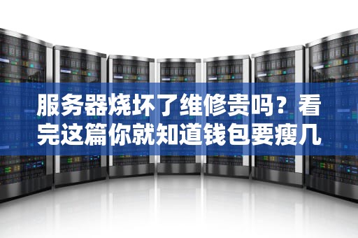 服务器烧坏了维修贵吗？看完这篇你就知道钱包要瘦几圈！
