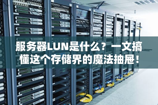 服务器LUN是什么？一文搞懂这个存储界的魔法抽屉！