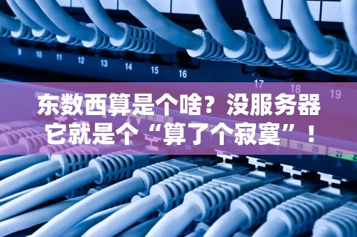 东数西算是个啥？没服务器它就是个“算了个寂寞”！