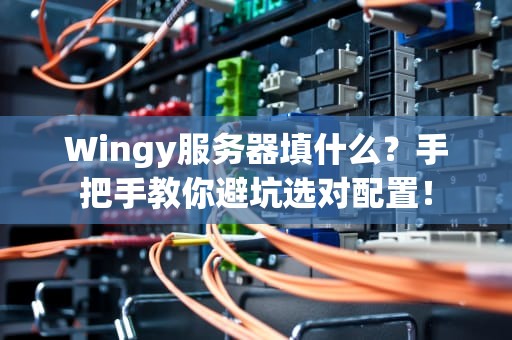 Wingy服务器填什么？手把手教你避坑选对配置！