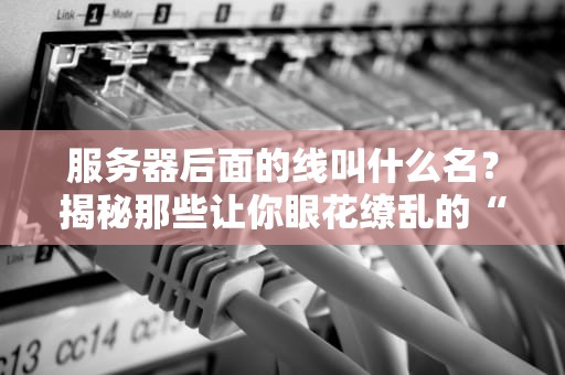 服务器后面的线叫什么名？揭秘那些让你眼花缭乱的“数据血管”