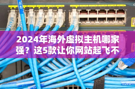 2024年海外虚拟主机哪家强？这5款让你网站起飞不翻车！