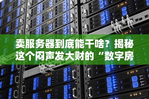 卖服务器到底能干啥？揭秘这个闷声发大财的“数字房东”生意！
