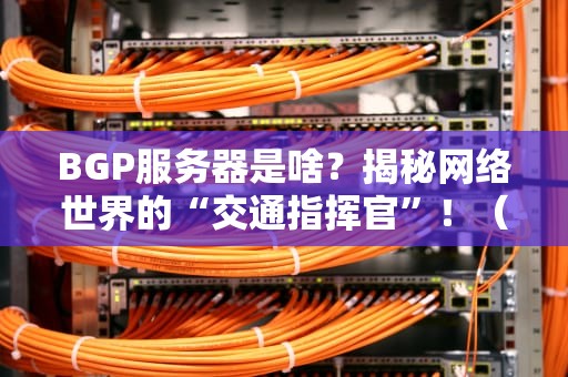 BGP服务器是啥？揭秘网络世界的“交通指挥官”！（附超实用测评指南）