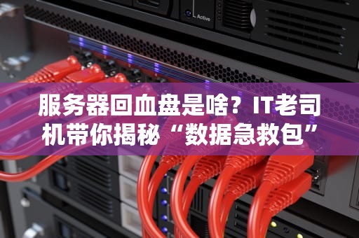 服务器回血盘是啥？IT老司机带你揭秘“数据急救包”的骚操作！