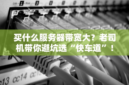 买什么服务器带宽大？老司机带你避坑选“快车道”！