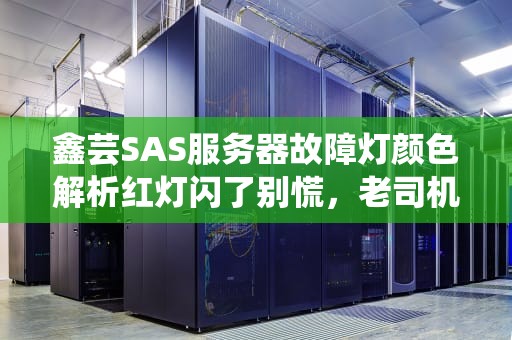 鑫芸SAS服务器故障灯颜色解析红灯闪了别慌，老司机教你秒变“修机侠”！