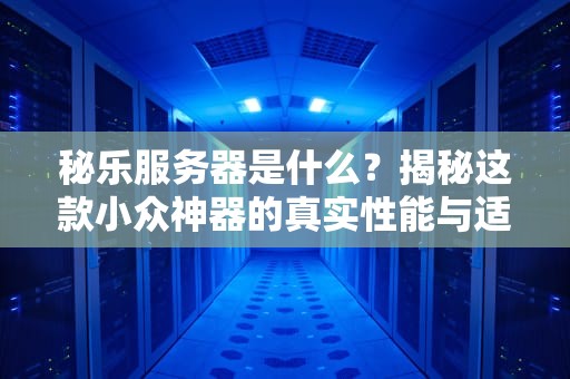 秘乐服务器是什么？揭秘这款小众神器的真实性能与适用场景！