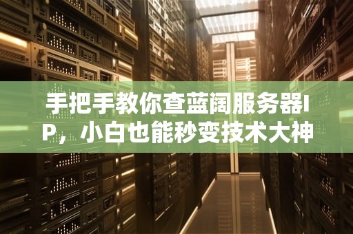 手把手教你查蓝阔服务器IP，小白也能秒变技术大神！