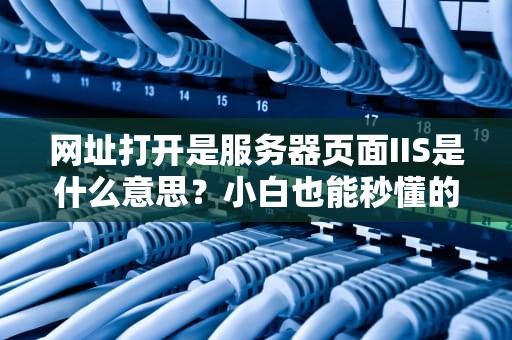 网址打开是服务器页面IIS是什么意思？小白也能秒懂的科普指南！