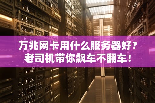 万兆网卡用什么服务器好？老司机带你飙车不翻车！