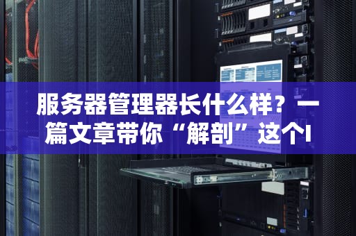 服务器管理器长什么样？一篇文章带你“解剖”这个IT界的“遥控器”！