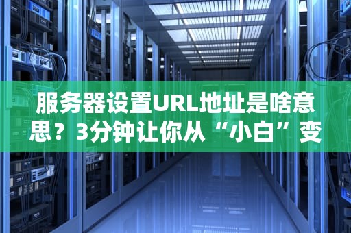 服务器设置URL地址是啥意思？3分钟让你从“小白”变“老司机”！
