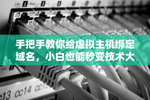手把手教你给虚拟主机绑定域名，小白也能秒变技术大神！