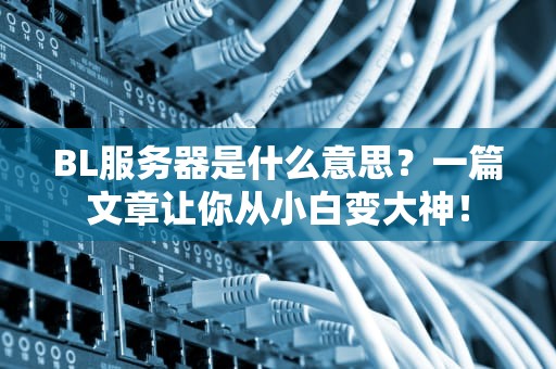 BL服务器是什么意思？一篇文章让你从小白变大神！