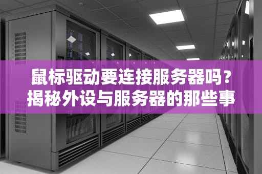 鼠标驱动要连接服务器吗？揭秘外设与服务器的那些事儿！