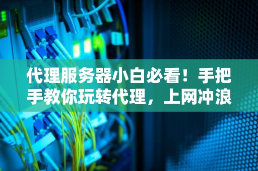 代理服务器小白必看！手把手教你玩转代理，上网冲浪不再裸奔