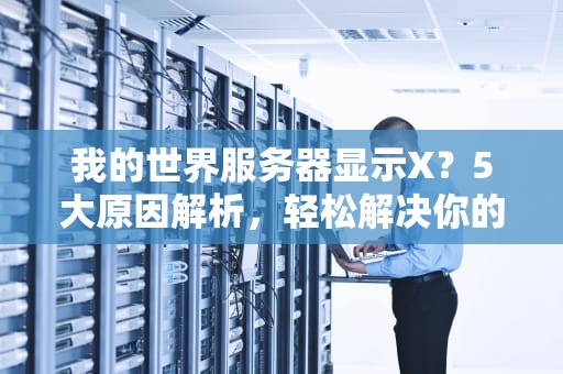 我的世界服务器显示X？5大原因解析，轻松解决你的疑惑！