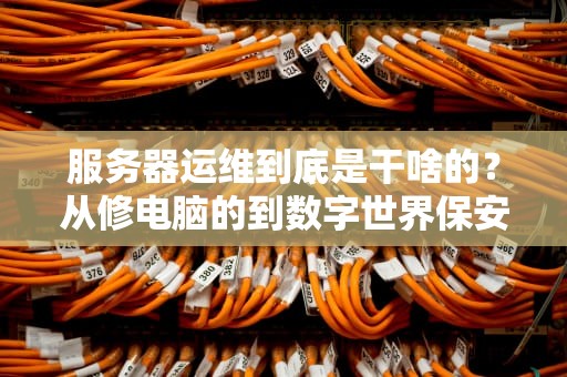 服务器运维到底是干啥的？从修电脑的到数字世界保安的逆袭之路！